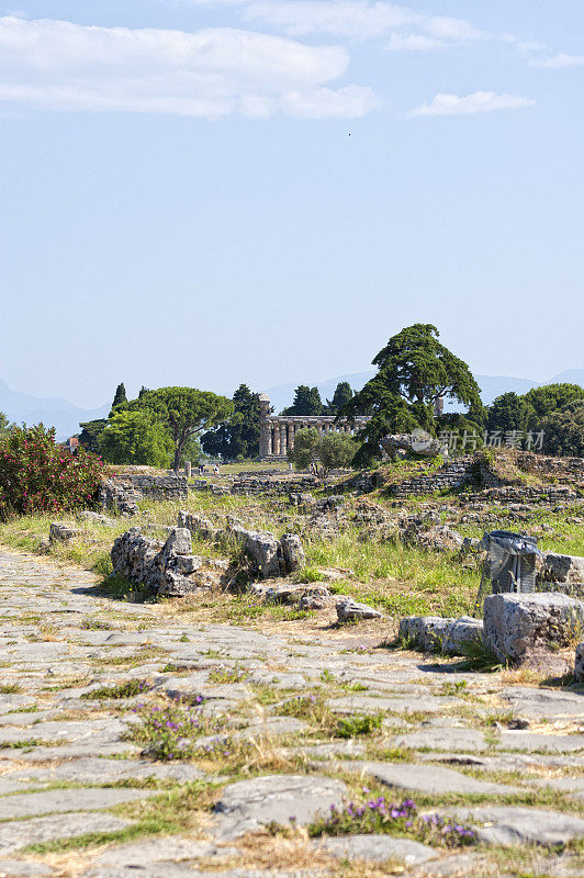 罗马神庙- Paestum